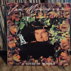 Van Morrison 'A Sense of Wonder' Vintage Vinyl Record 1984
